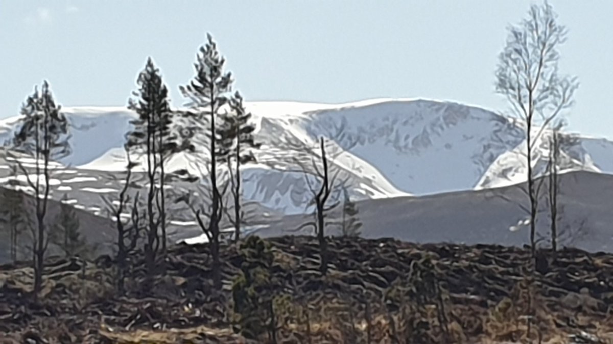 A glorious spring day <a href="/RothieLodge/">Rothiemurchus Lodge</a> <a href="/TheCairngorms/">The Cairngorms</a> and we can't wait to see guests returning very soon!