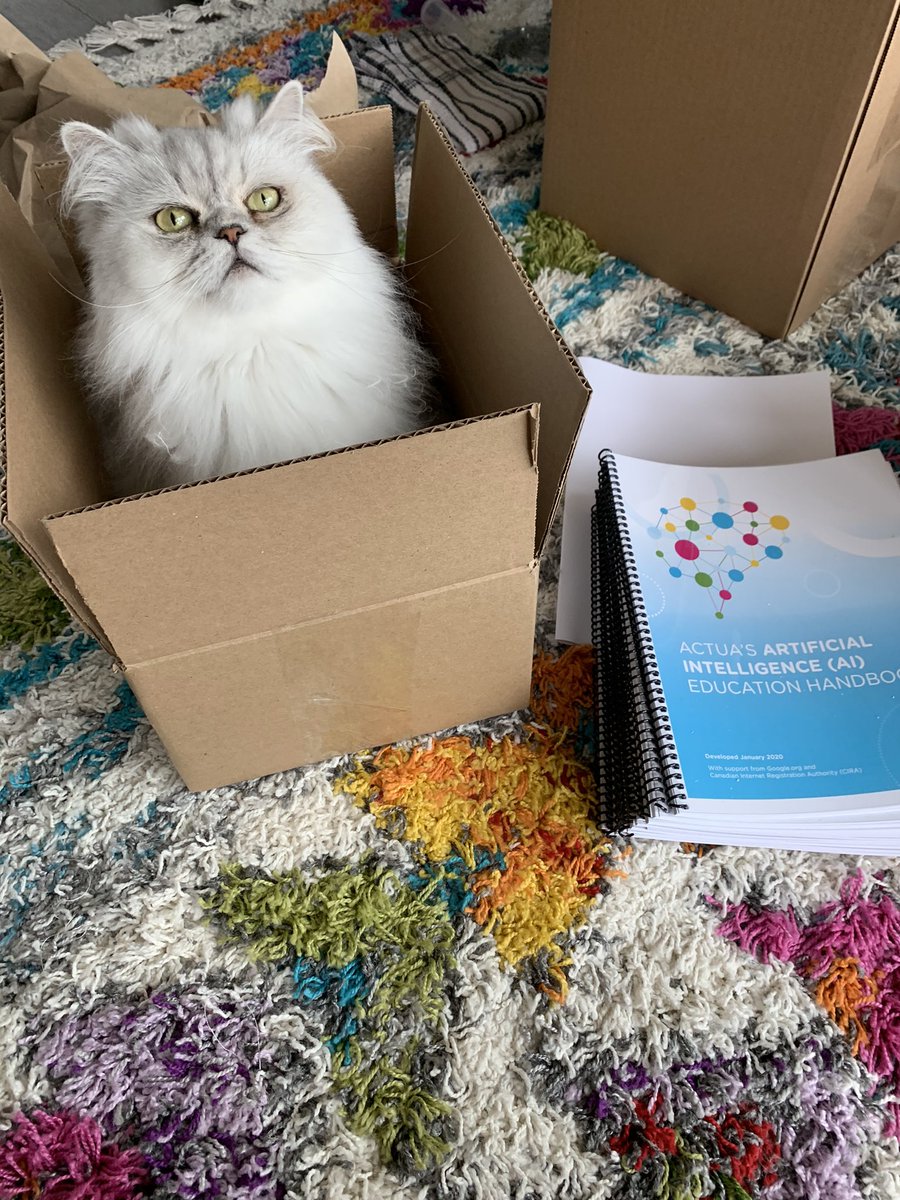 EmmProvost's tweet photo. @ActuaCanada I was born for the #STEMforPets program!! I'm ready to learn about #AI and practice typing with mentor @LukePersaud 🐾 -Yukon https://t.co/vDYN57fmLi