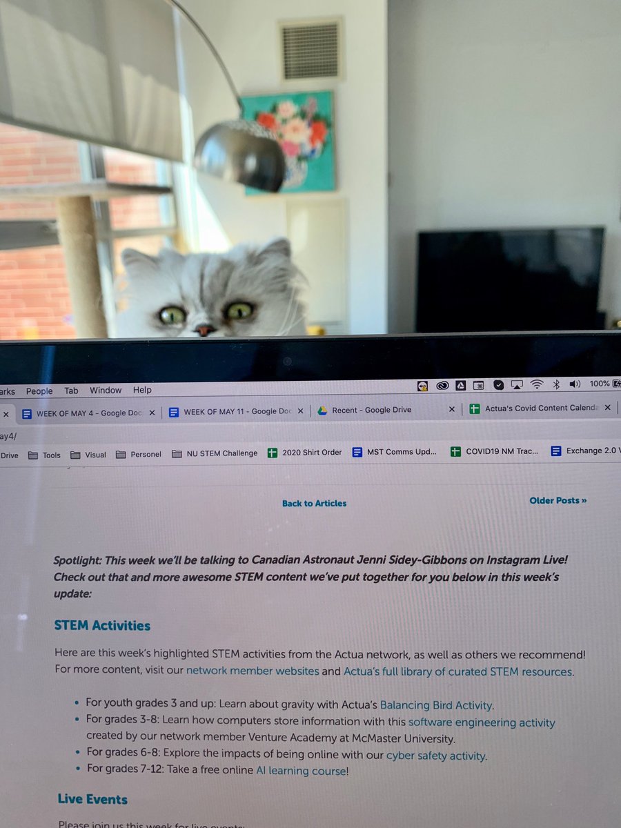 EmmProvost's tweet photo. @ActuaCanada I was born for the #STEMforPets program!! I'm ready to learn about #AI and practice typing with mentor @LukePersaud 🐾 -Yukon https://t.co/vDYN57fmLi