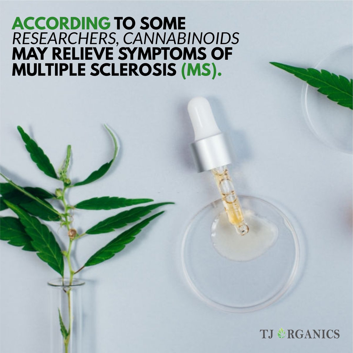 OrganicsTj's tweet photo. In a study of 66 patients with MS and chronic pain, those who received a combination of CBD and THC reported less pain over 2 years. The patients determined the dosage by themselves, taking as much as they felt was needed to alleviate the pain.

#tincture #cbd #cbdoiltinctures https://t.co/JJmhsjYM1j
