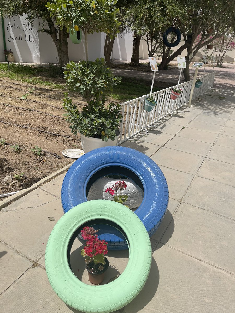 QA_Garden's tweet photo. تمت اعادة تدوير بعض المواد لتجميل وتزين حديقة غراس المصرفية من قبل الطالبات المشاركات #QBGFoodSecurity https://t.co/uDh1YlvTQW