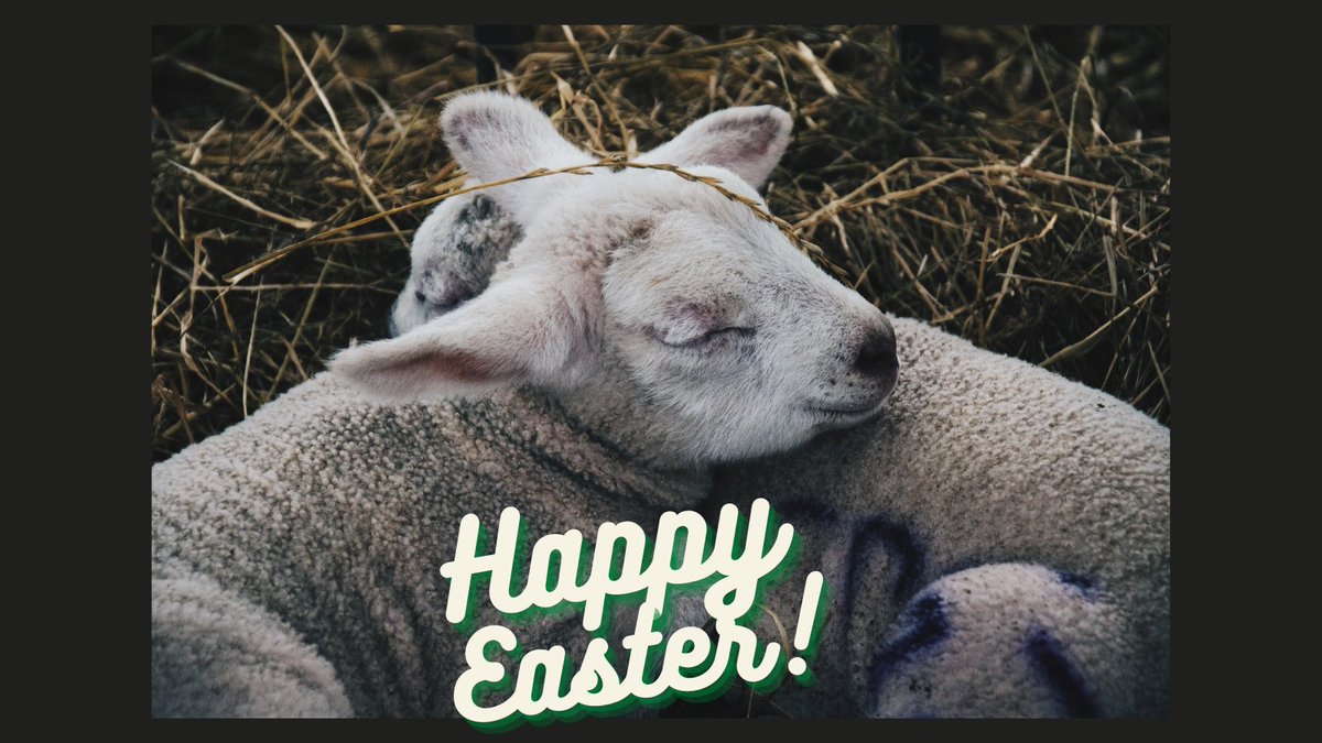 Happy Easter to all our followers. Wishing you peace and joy this weekend.