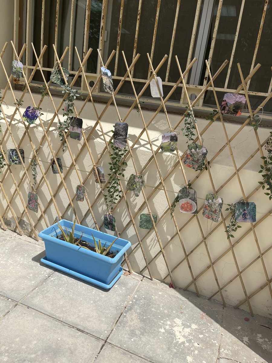 QA_Garden's tweet photo. جوانب من حديقة المصرفية #QBGFoodSecurity https://t.co/5dWQTc7x84