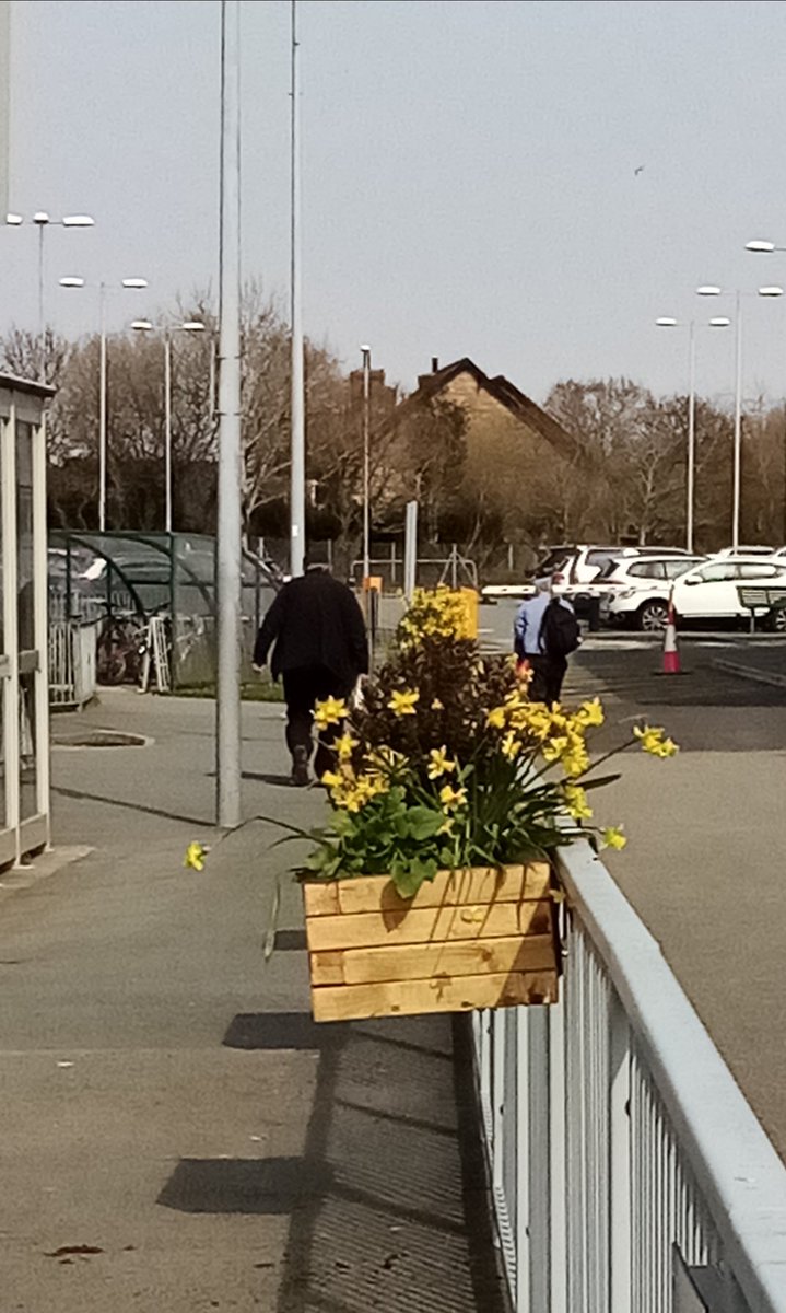 Lovely planters put up at YG today as part of the landscaping project. Pleased to be involved