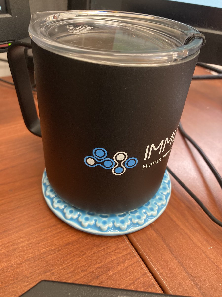 Ana Fernandez-Sesma tweet media