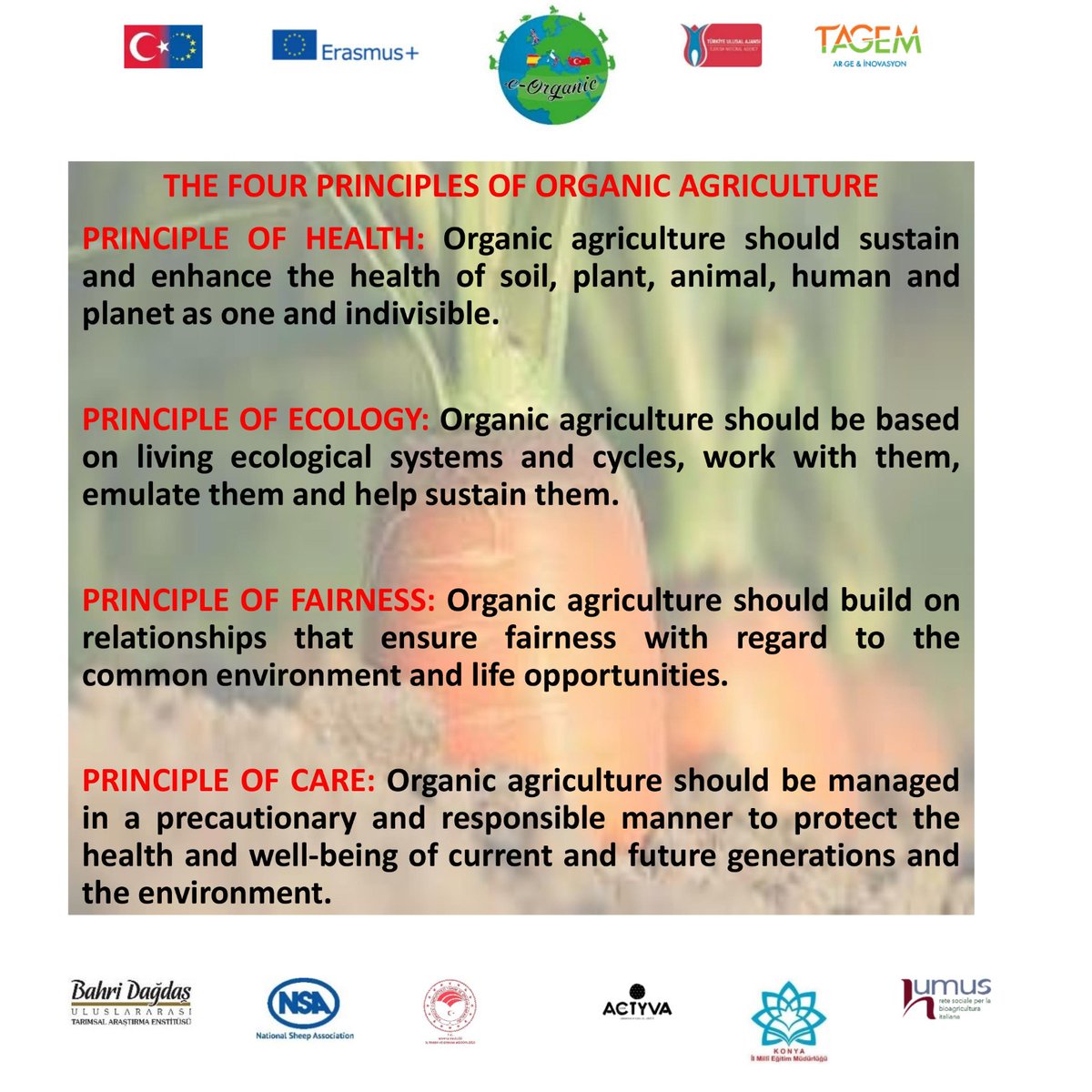 eorganiceu's tweet photo. #organicagriculture #fourprinciple #principleofhealth #principleofecology #principleoffairness #principleofcare https://t.co/BD3KNejRcD