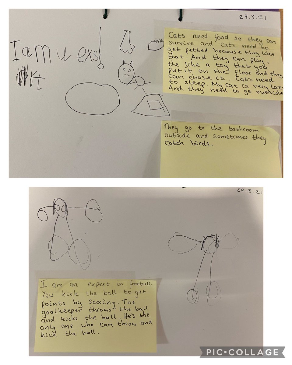 MissMcMahonLVPS's tweet photo. We wrote what we were ‘experts’ in this week to share our knowledge and interests with each other! We have experts in football, minecraft, dinosaurs, planets, cats... @WritingRocks_17 
We use our daily diary to reflect on our day too ☺️⭐️  #WritingforPleasure #ValueAllMarks https://t.co/37b2Q5Wtwz