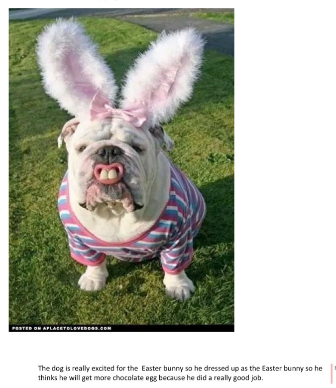 missmaxim2's tweet photo. Our Easter-themed writing prompt was a big hit this week! 🐶🐰 (2/3) https://t.co/59rcuREWQl