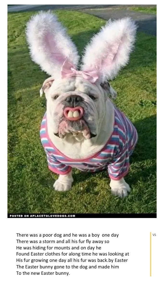 missmaxim2's tweet photo. Our Easter-themed writing prompt was a big hit this week! 🐶🐰 (3/3) https://t.co/Mj2zn8Q6gp
