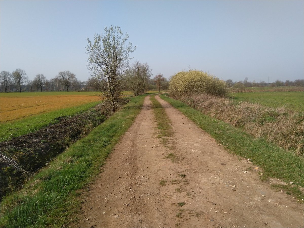 koen_leysen's tweet photo. Het is weer de tijd van de oranje doodgespoten velden. Wat een contrast met het natuurgebied rechts. #scheps #anb #natuur #mijnnatuurpunt https://t.co/j76EFNslQT