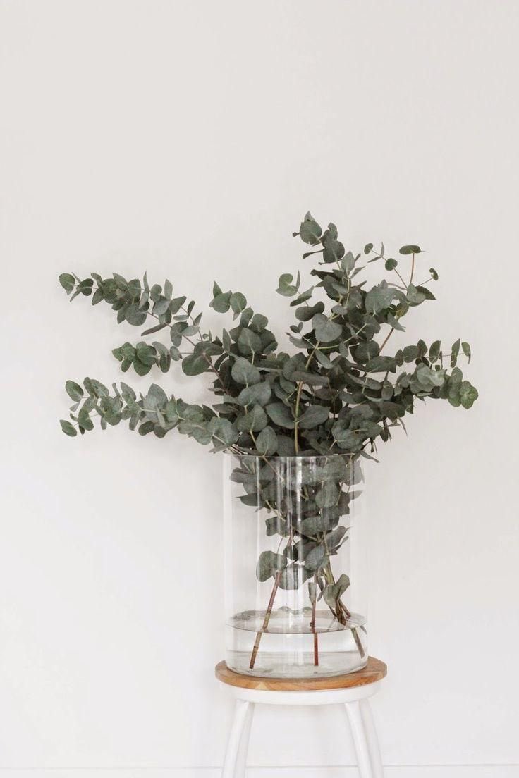 HOP_uy's tweet photo. Así, con esta paleta de colores arrancamos el mes de #Abril en el estudio...
Llenos de olor a eucalipto 🌿🌱🪴
-
#HOP #HOPstudio #HOPstyle https://t.co/XLheW0Ys2X