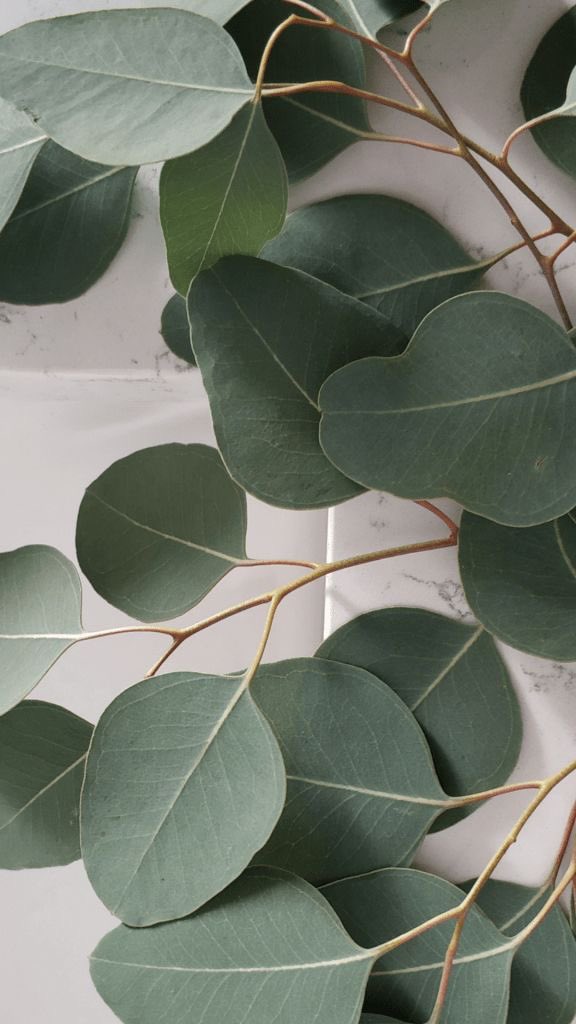 HOP_uy's tweet photo. Así, con esta paleta de colores arrancamos el mes de #Abril en el estudio...
Llenos de olor a eucalipto 🌿🌱🪴
-
#HOP #HOPstudio #HOPstyle https://t.co/XLheW0Ys2X