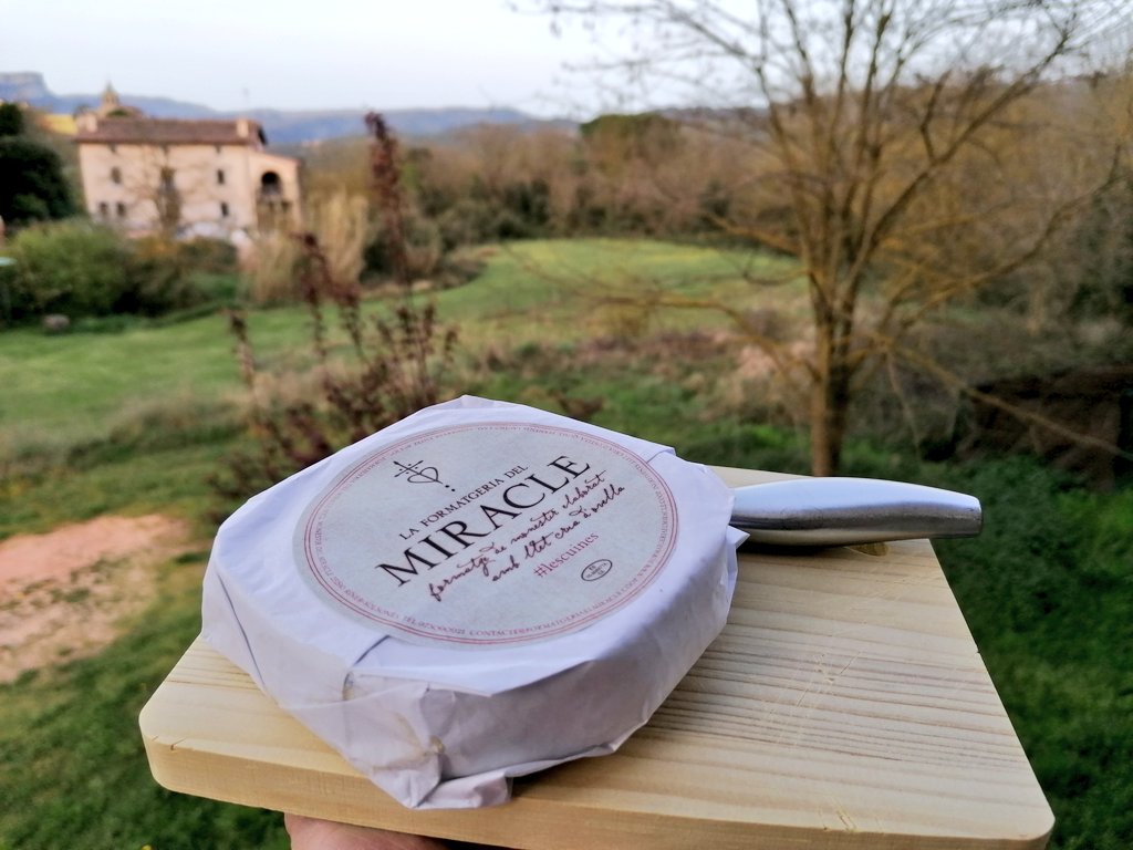 MAlbercocs's tweet image. Deixeu-me.
Que sóc jo, i la meva tarda lliure, i el balcó i el meu formatge.

(#lescuines de la Formatgeria El Miracle 💚)