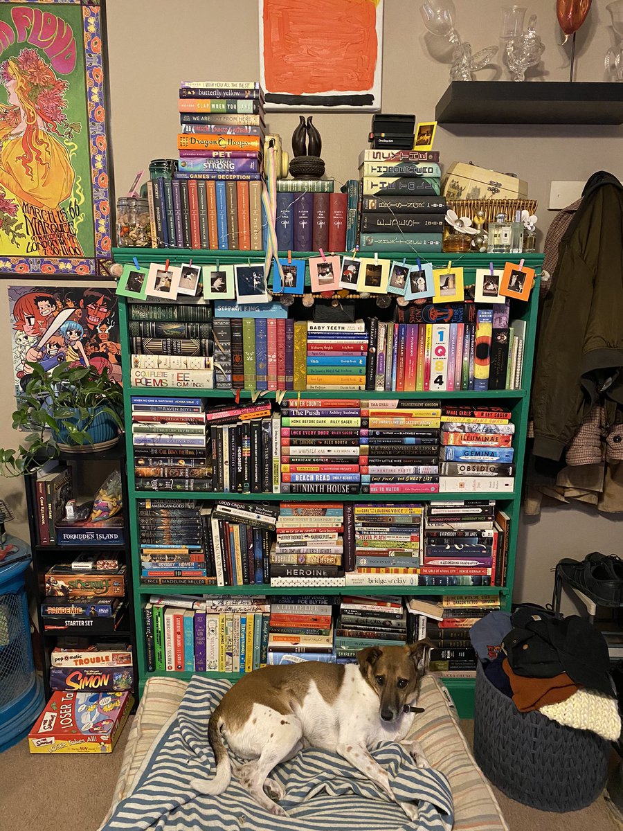 MckenzieStaats's tweet photo. One of my overstuffed bookshelves, featuring Iroh. #shelfie #TLDE2021 https://t.co/b3SKpgxm9t