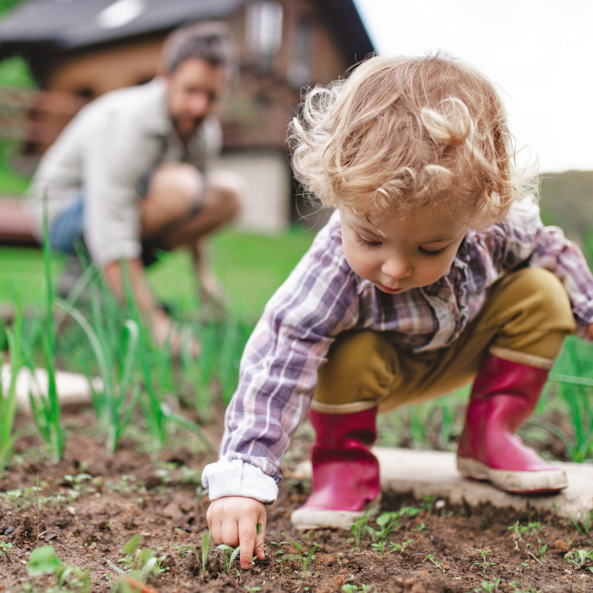 I’m ready to dig into Spring, and April is Lawn and Garden Month. What are you planting this year?