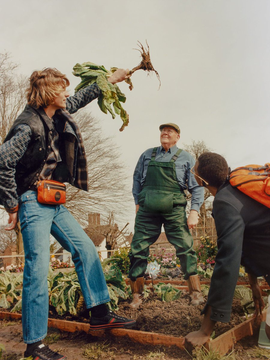 sophxthompson's tweet photo. Absolutely obsessed with gucci using gerald aka twitter veg-growing king in their latest campaign https://t.co/mi8nMRFAAa
