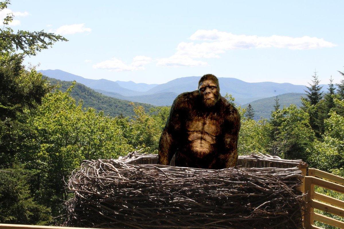 Last summer was rather PECULIAR, no?  We are looking forward to a more "normal" spring/summer! Stay tuned for an upcoming announcement on when the White Mountains Mountains Attractions will be opening for the 2021 season.  #whitemountains #aprifools #visitnh