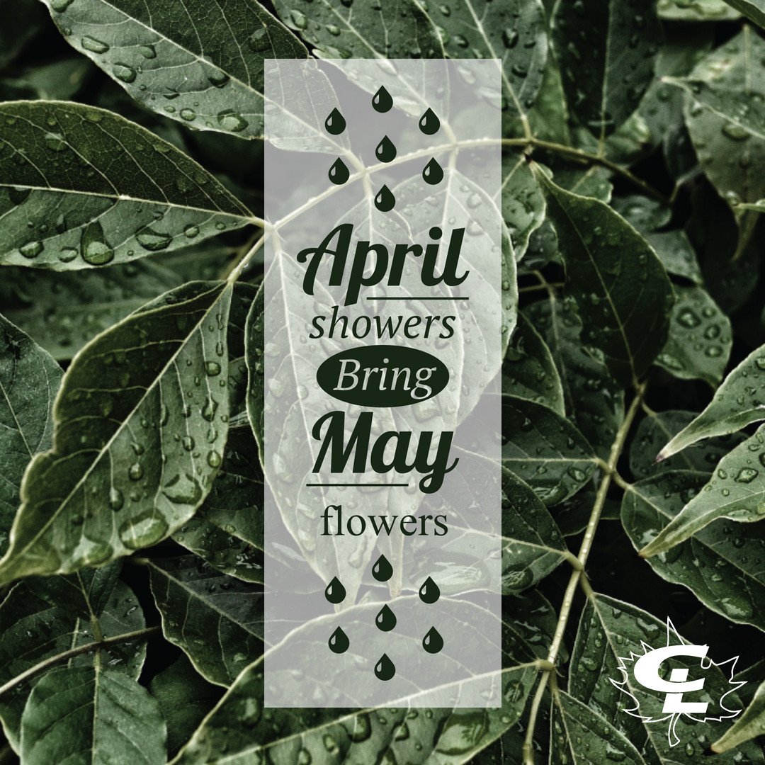 April is Here!! ☔️

Have a great month!

#aprilshowers
#April1
#mayflowers