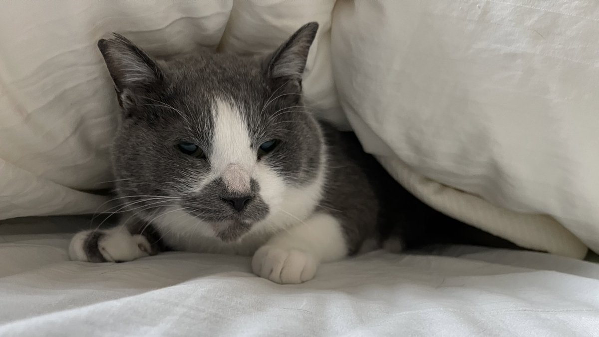 ブラッド ピット 画像まとめ Twitterで話題の最新画像 リアルタイム更新中