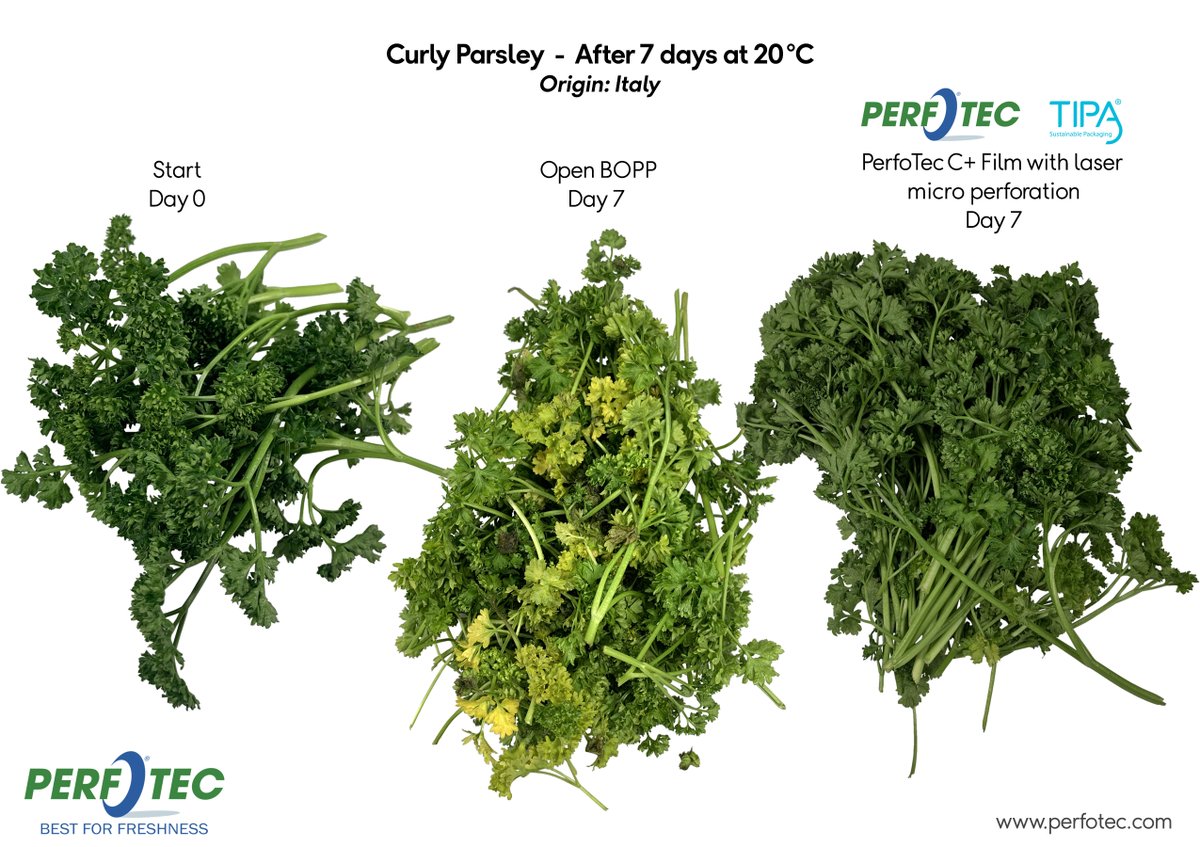 It’s hard to keep #herbs looking fresh while stored at 20°C, isn’t it? They turn yellow, brown and soft. Not tasty or even edible at all! And so, the challenge was born at PerfoTec…

Together with <a href="/TIPACorp/">TIPA-Corp</a> film, we achieved 7+ days of #freshness with Curly #Parsley at 20°C.