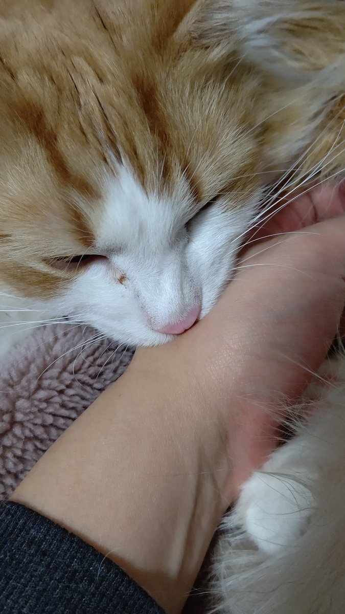 ぽっぽ
推してるが、それ以上に向こうから推されてる 