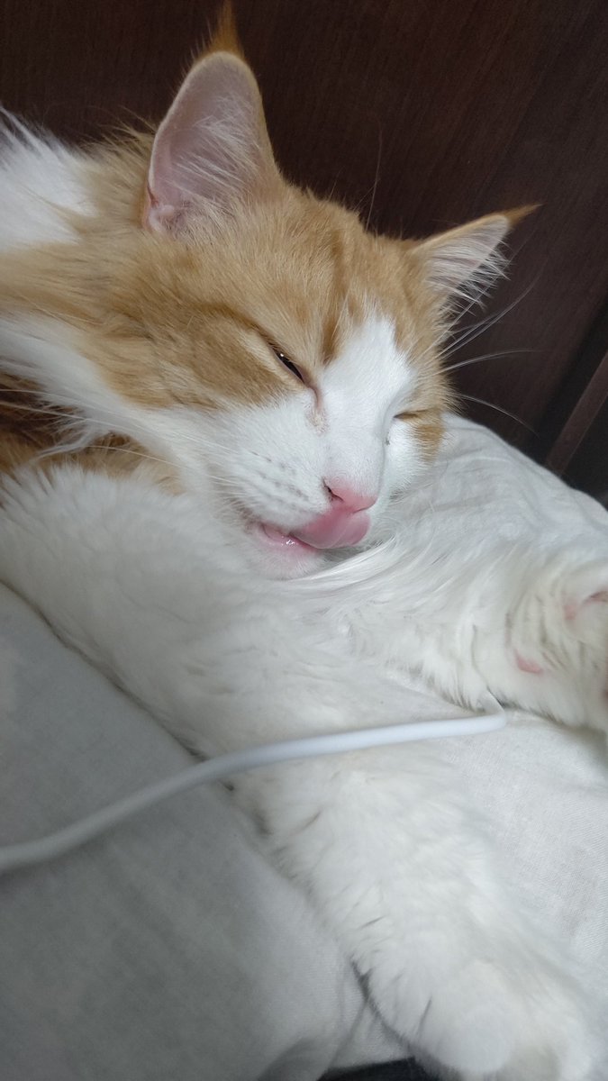 ぽっぽ
推してるが、それ以上に向こうから推されてる 