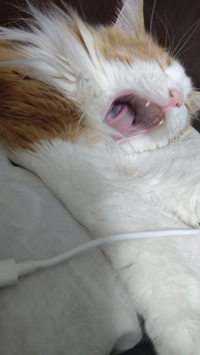 ぽっぽ
推してるが、それ以上に向こうから推されてる 