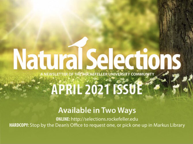 New month, new issue of Natural Selections! Our April issue features:
- an interview with Politics Under the Microscope (@PUTMpodcast)
- mindfulness for skeptics
- the history of Earth Day
- the process of writing a novella
- Pets of Tri-I
and more! 

PDF: selections.rockefeller.edu/wp-content/upl…