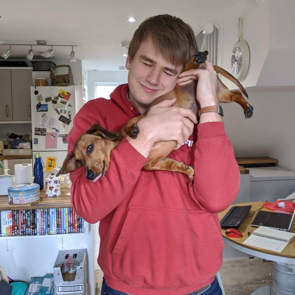 MontyTheSausage's tweet photo. #ThrowbackThursdays to the beginning of #lockdownlife when mum and dad were so happy to be spending everyday with me. I on the other hand was not so keen on the incessant cuddles of my butt! #MontyProblems #TongueOutThursday #dailydog #dachshundlove #doxielove #sausagearmy https://t.co/n9JdNM9zUy