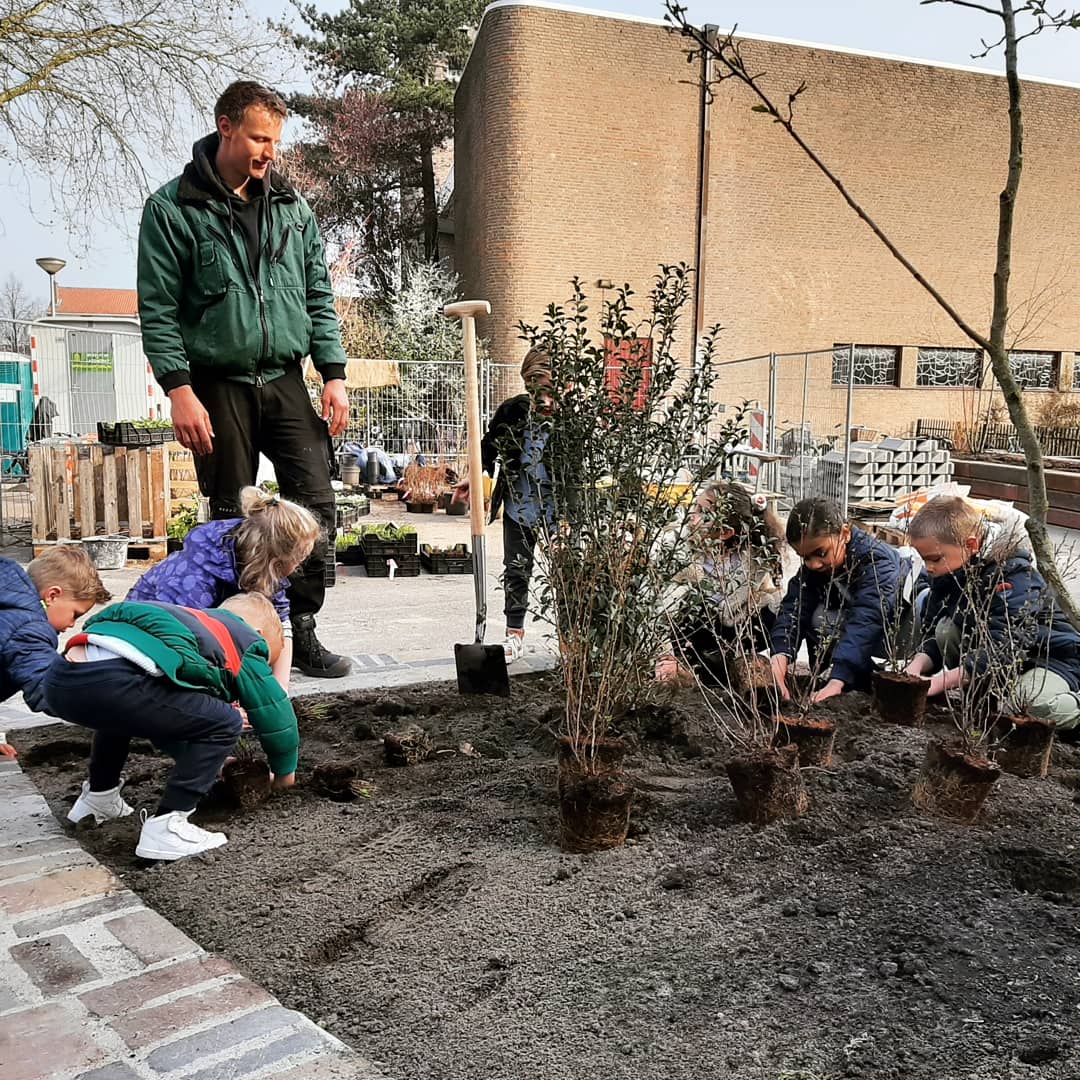 Bureau_RIS's tweet photo. Samen met de leerlingen en juffen/meesters het #groenblauw schoolplein inplanten, dat vinden wij echt superbelangrijk! #bewustzijn #natuurlijkspelen #biodiversiteit #BSDeBijenkorf @DeGroeiling #Multituin #Gouda #educatie #eigenaarschap https://t.co/QqVRyrAGi0