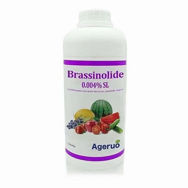 AAgeruo's tweet photo. #Brassinolide can act in various stages of plant growth and development, can regulate a variety of enzymes and hormones required by the plant itself, and give full play to the plant's own potential and growth advantages.

Provide free custom labels design and customized packaging https://t.co/AD1QH4gpP2