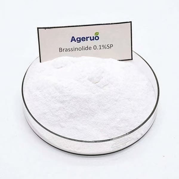 AAgeruo's tweet photo. #Brassinolide can act in various stages of plant growth and development, can regulate a variety of enzymes and hormones required by the plant itself, and give full play to the plant's own potential and growth advantages.

Provide free custom labels design and customized packaging https://t.co/AD1QH4gpP2