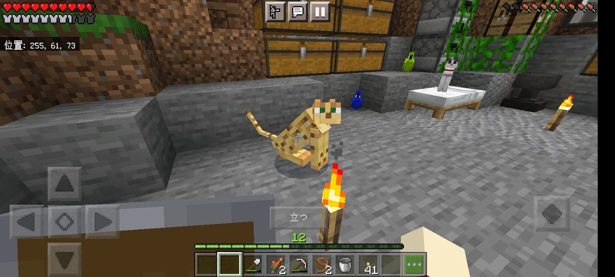 ぼらっく マイクラ ちなみにこれ アドオンで懐かせて座れるようにしたエイプリルフールネタ いつものwi Fiの不調で遅くなった