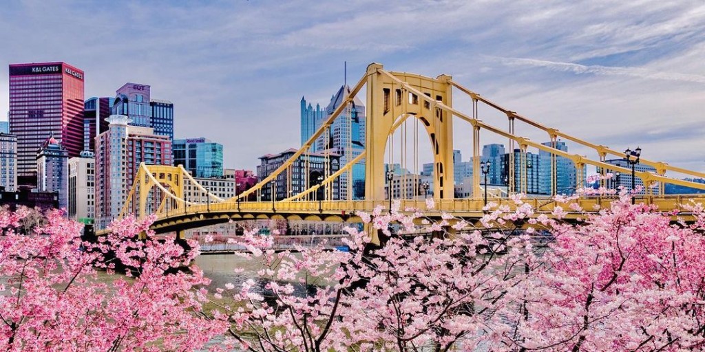 visitPA's tweet photo. Such a beautiful morning. 🌤️🌸 #SpringItOnPA 

📍: @vstpgh 
📸: barkandshutter via Instagram https://t.co/0q7Gu7jZSI