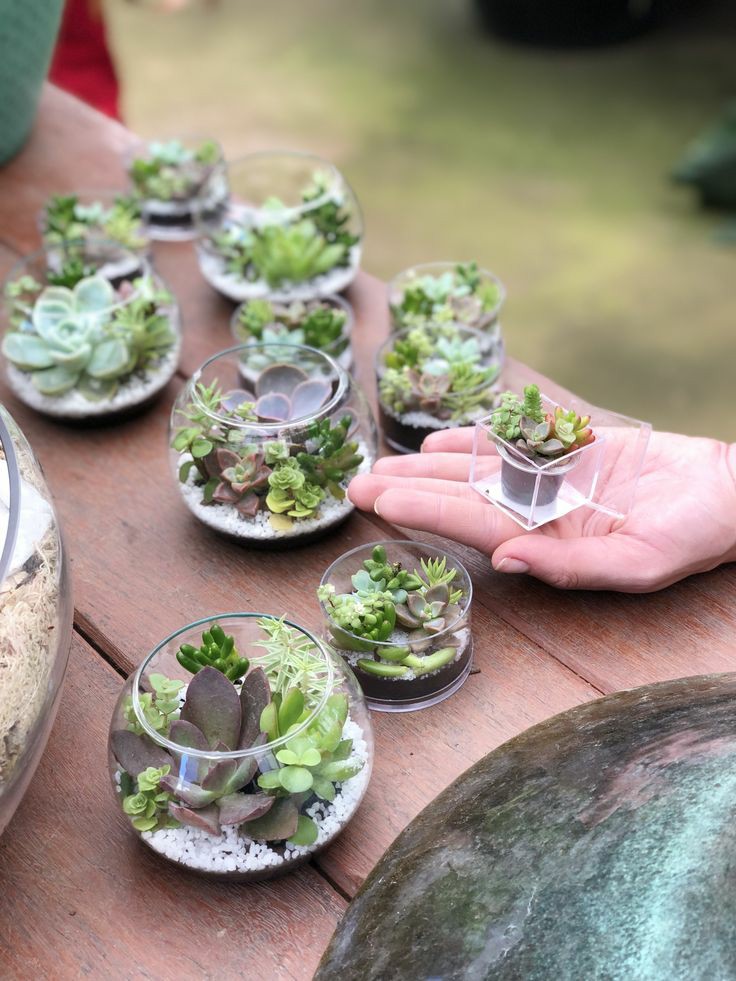 Dec2125's tweet photo. (OS/SF) Tete-A-Tete #allchen
Green Fingers #chanchen
Link: https://t.co/2nm7i8XY6S
Green fingers หรือ Green thumb คือ คนที่มีความสามารถในการปลูกต้นไม้ ปลูกอะไรก็ขึ้น ดูแลต้นไม้เก่ง ภาษาบ้านเราก็คงเรียกว่าคนมือเย็น https://t.co/DCqGGwQ9fe