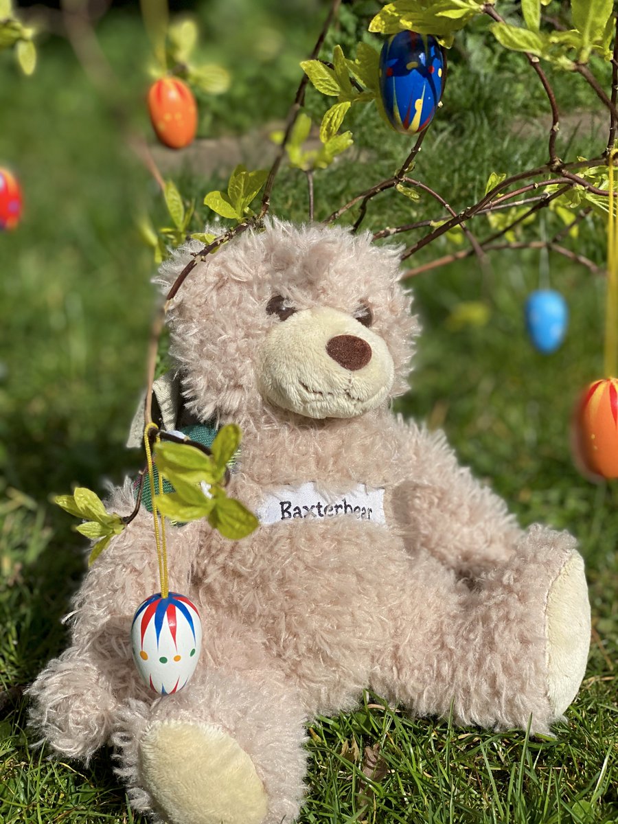 Baxterbearsays's tweet photo. Happy Easter in these challenging times, love Baxterbear xx @Soldierscharity @ColdstreamGds @BritishArmy
 @Householddiv https://t.co/saCMOaPCsR