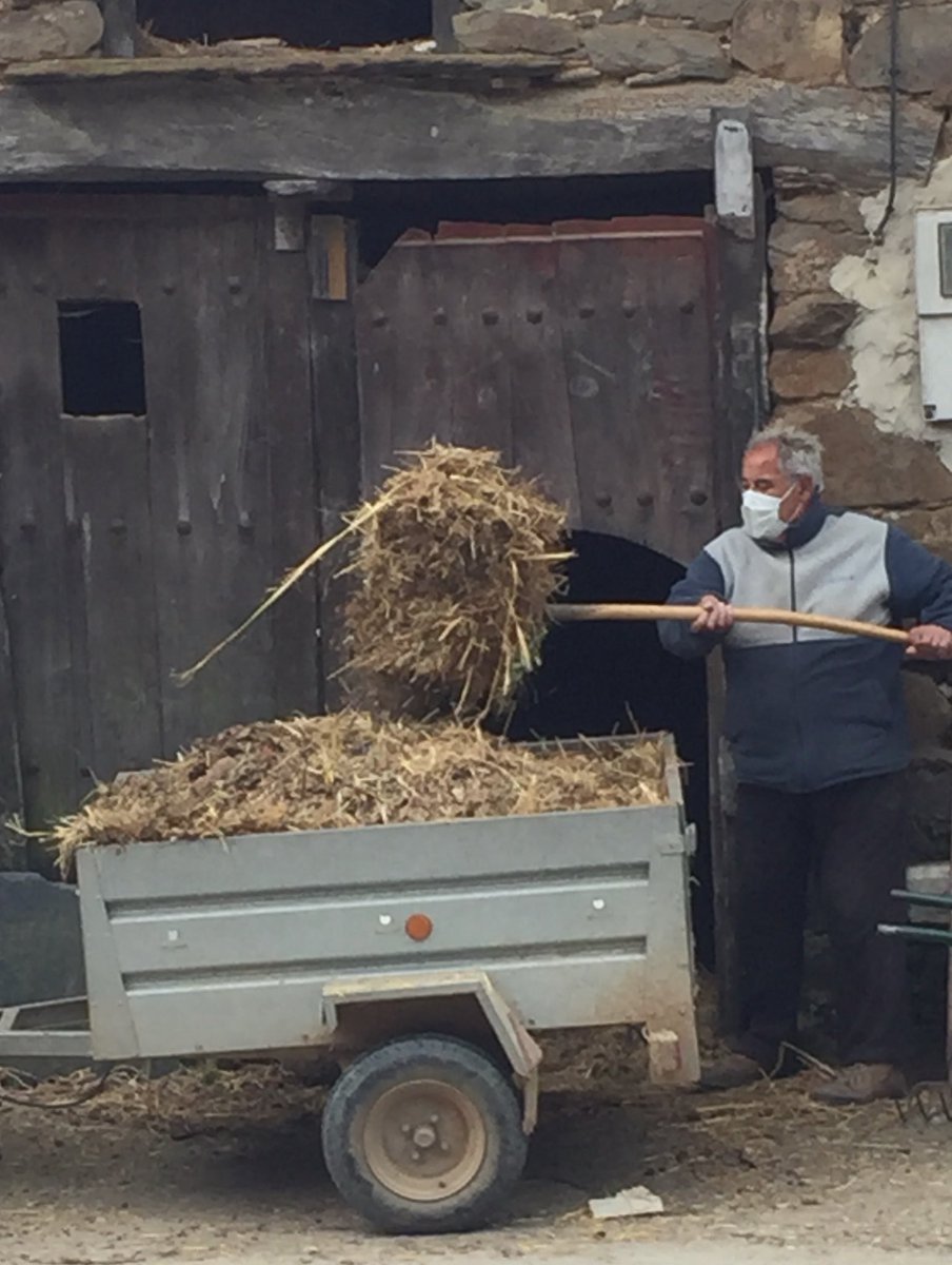 Globalización es que surja un virus en una provincia de China y, un año después, un paisano de un pueblo remoto y vacío de Zamora lleve una mascarilla para subir al monte a por leña y paja.