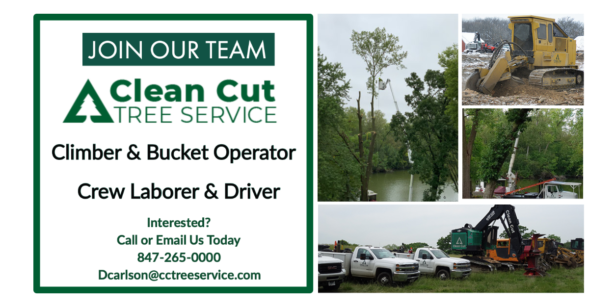 CleanCutTree's tweet image. POSITIONS AVAILABLE NOW! Come join our Clean Cut team. Interested? Call or text us at 847-265-0000 or email reception@cctreeservice.com