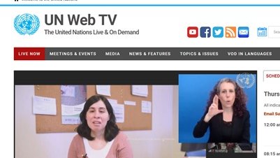 Marisa Fassi tweet media