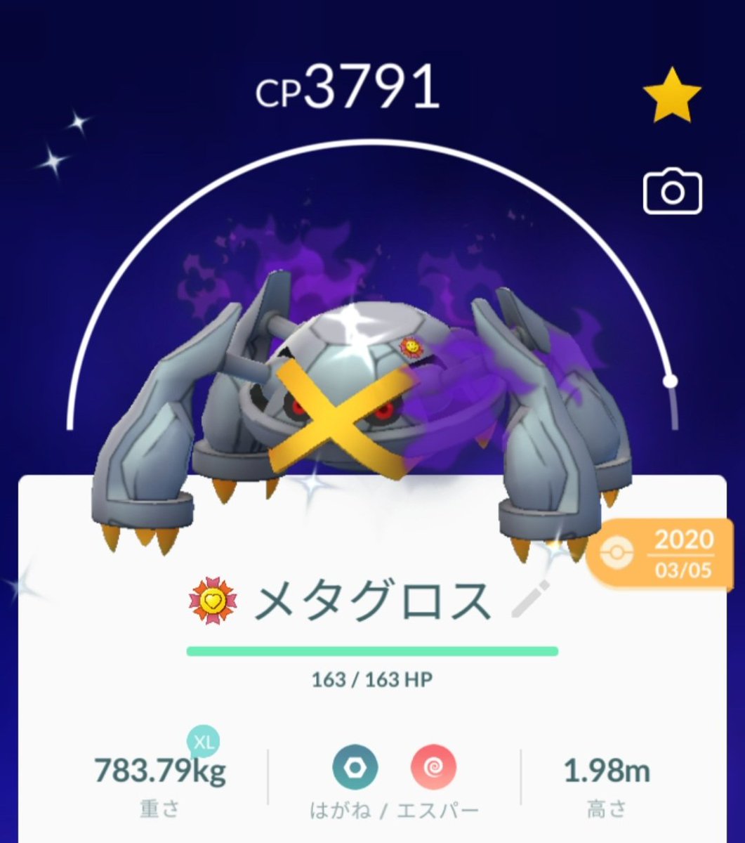 シャドウメタグロス