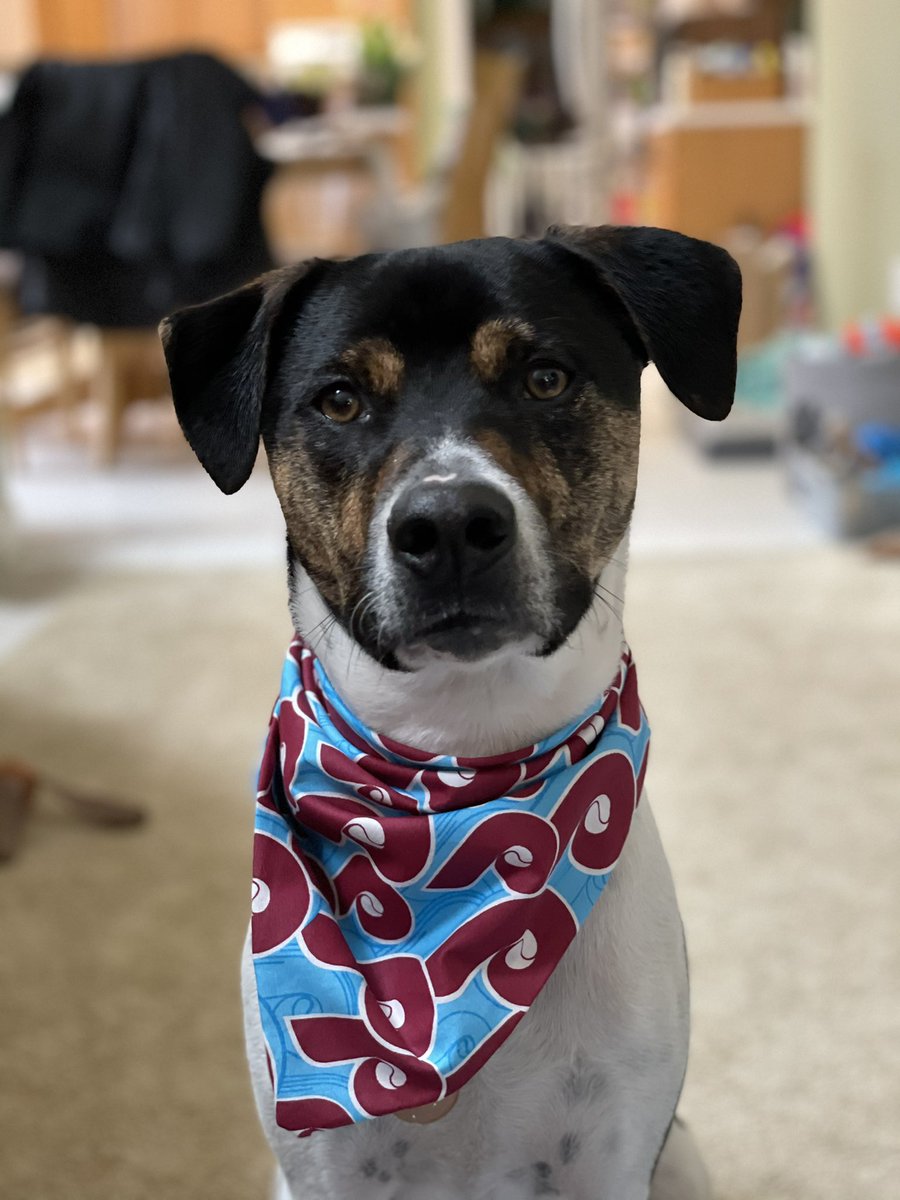tiffanylee_'s tweet photo. Kalas is ready for Opening Day! @Phillies #RingTheBell https://t.co/544EJh5vp3