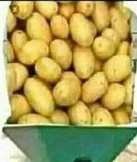 JanakParikh29's tweet photo. Happy#पप्पू_दिवस April fool day https://t.co/XrUAjemzff