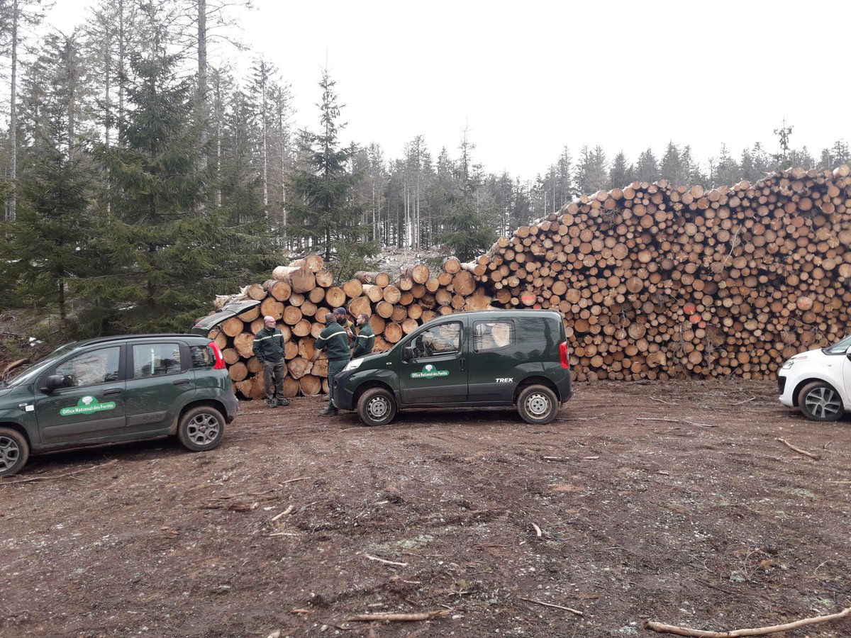 KarrNicolas's tweet photo. Changement climatique : la #forêt sectionnale d'Auzat (63) touchée par les scolytes. Après valorisation des arbres attaqués, une plantation sera réalisée. Les forestiers de l'ONF préparent la forêt de demain : mélangée, résiliente, mosaïque. 
#PlanDeRelance @ONF_Officiel https://t.co/PKxXnENnyu