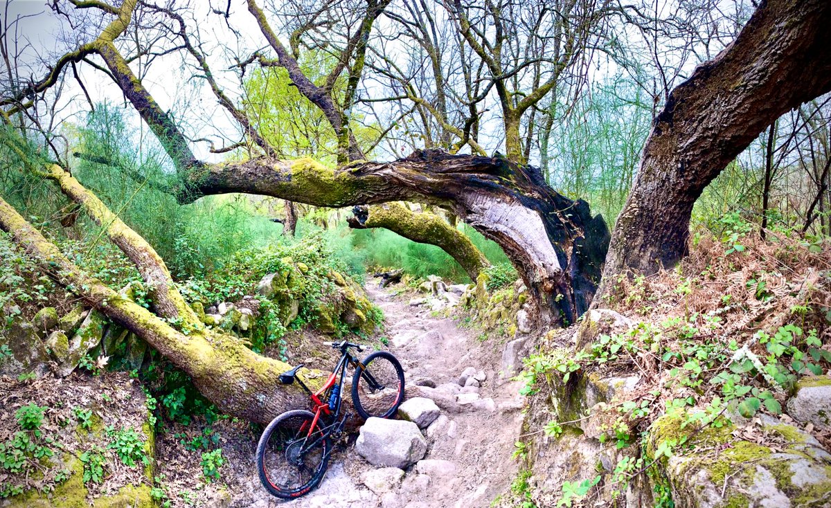 Caprichos de la naturaleza