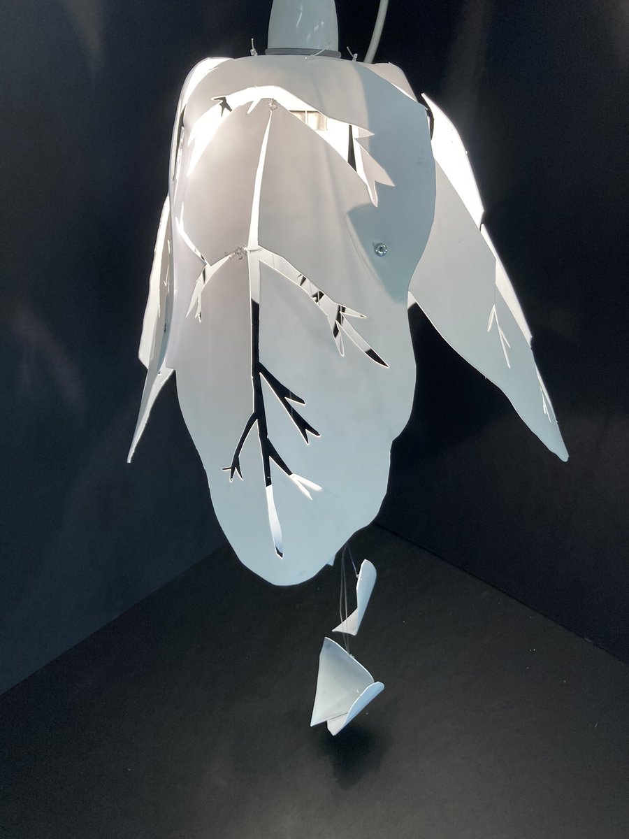 stpaulsdtdept's tweet photo. Y10 polypropylene lampshades inspired by nature https://t.co/TzWXLLQqXV