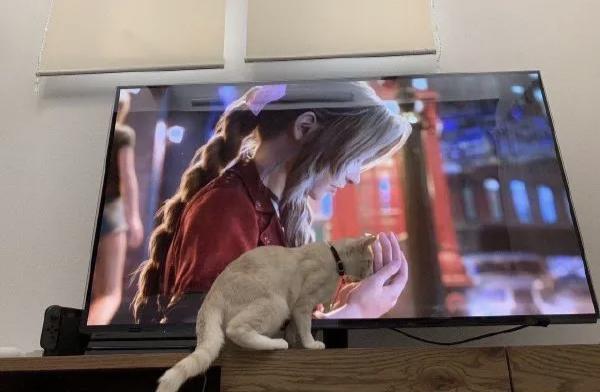 hellbentforlife's tweet photo. "Materia for me?" 🥺 https://t.co/B3WiqRSLSO