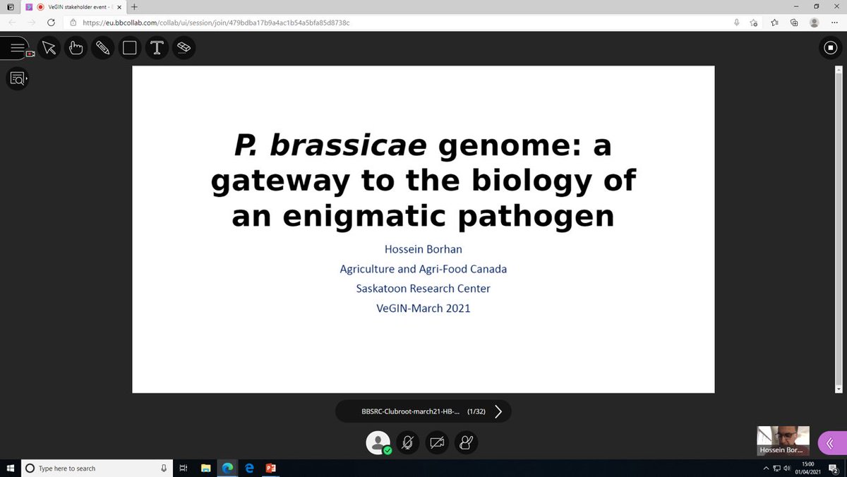 WarwickCrop's tweet photo. Keynote speaker Hossein Borhan @AAC_Canada describing research on the biology and genetics of clubroot #VeGIN Stakeholders meeting https://t.co/sn0QOpfer8 https://t.co/hXjqRR5zPg