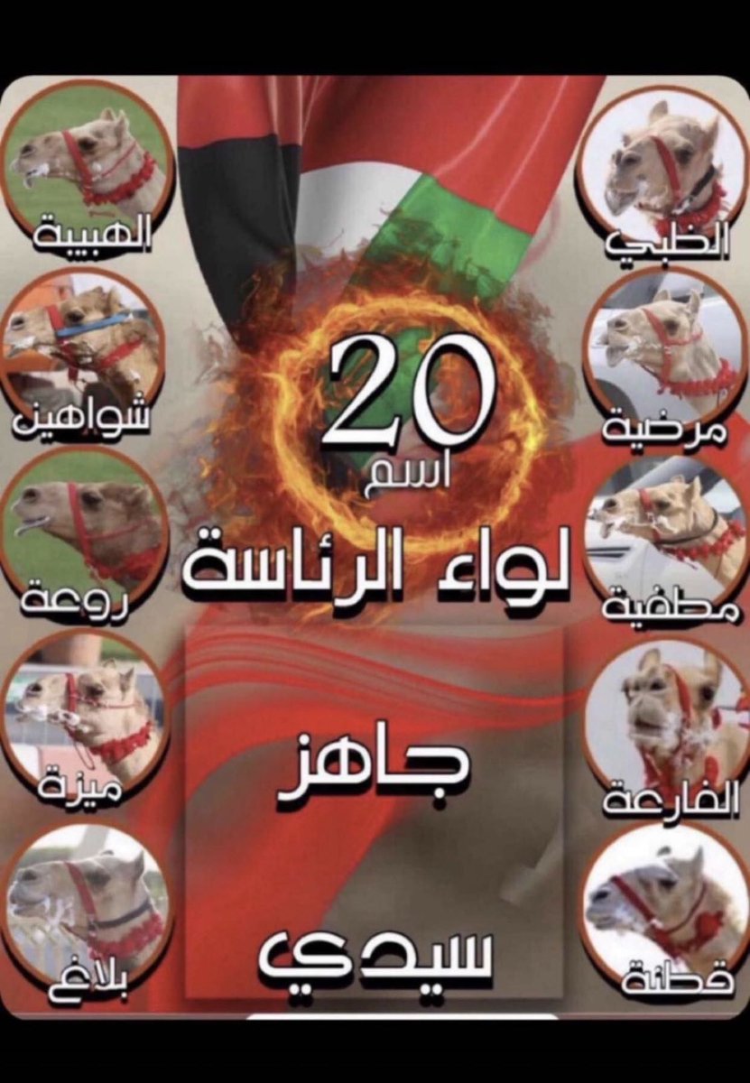 zyab111's tweet photo. سلام هجن الرئاسة سلام⚔️🇦🇪🔥
السيف لدار الفلاحي غصصصب🔥

#الريس #مهرجان_ختامي_الشحانية_2021 https://t.co/LCktBwNW2Q