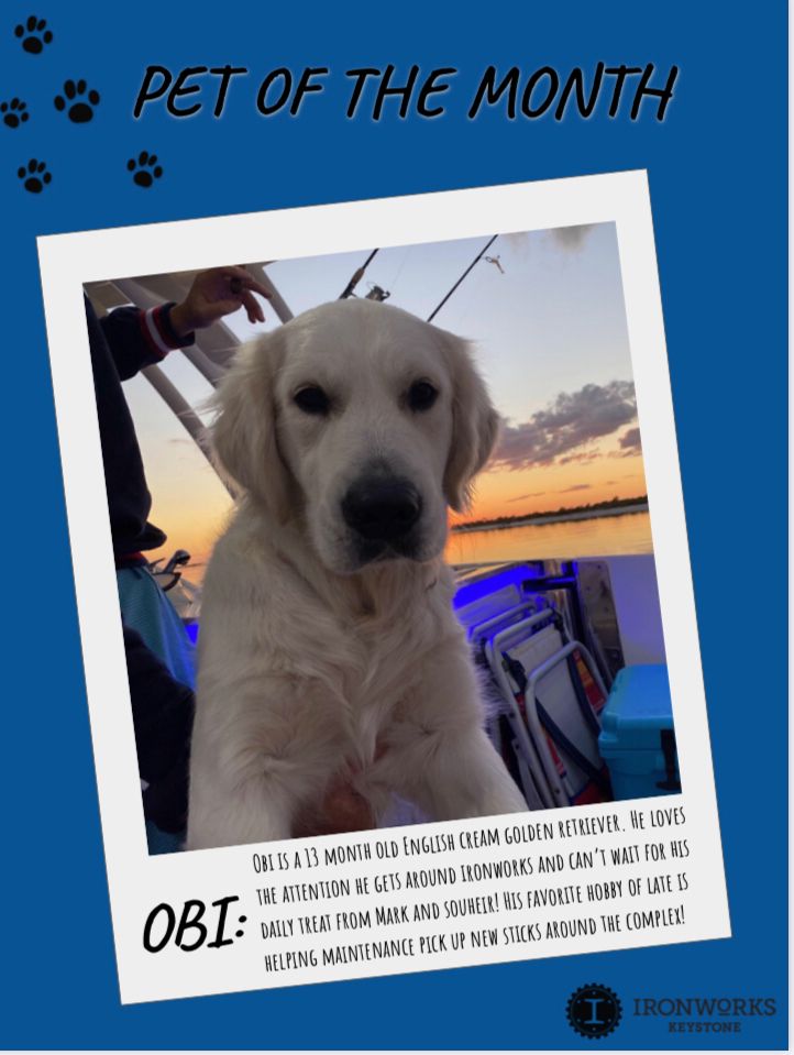 Meet Obi,  our April Pet of the Month💙