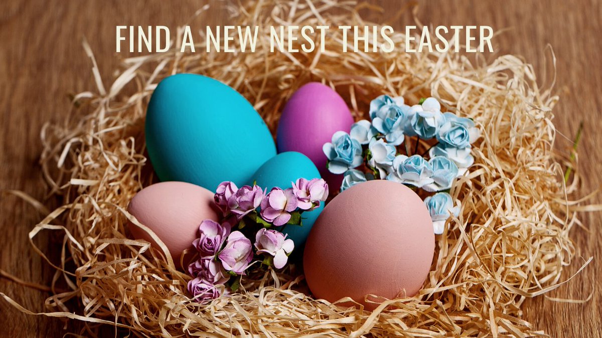 HuntersDublin's tweet photo. Wishing all our clients and colleagues a very happy &amp; safe Easter and we look forward to helping you with all your property requirements over the next few months and throughout the year.

#happyeaster #lookingforanewnest #springtime #forsale #sold #property #estateagent #newhome https://t.co/f1OYf9wt2Y